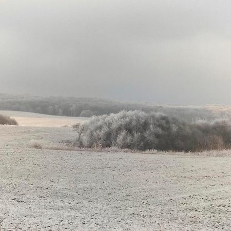 Ferienwohnung Uckermarkblick Ziehten Esterno foto